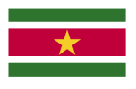 suriname-flag-image